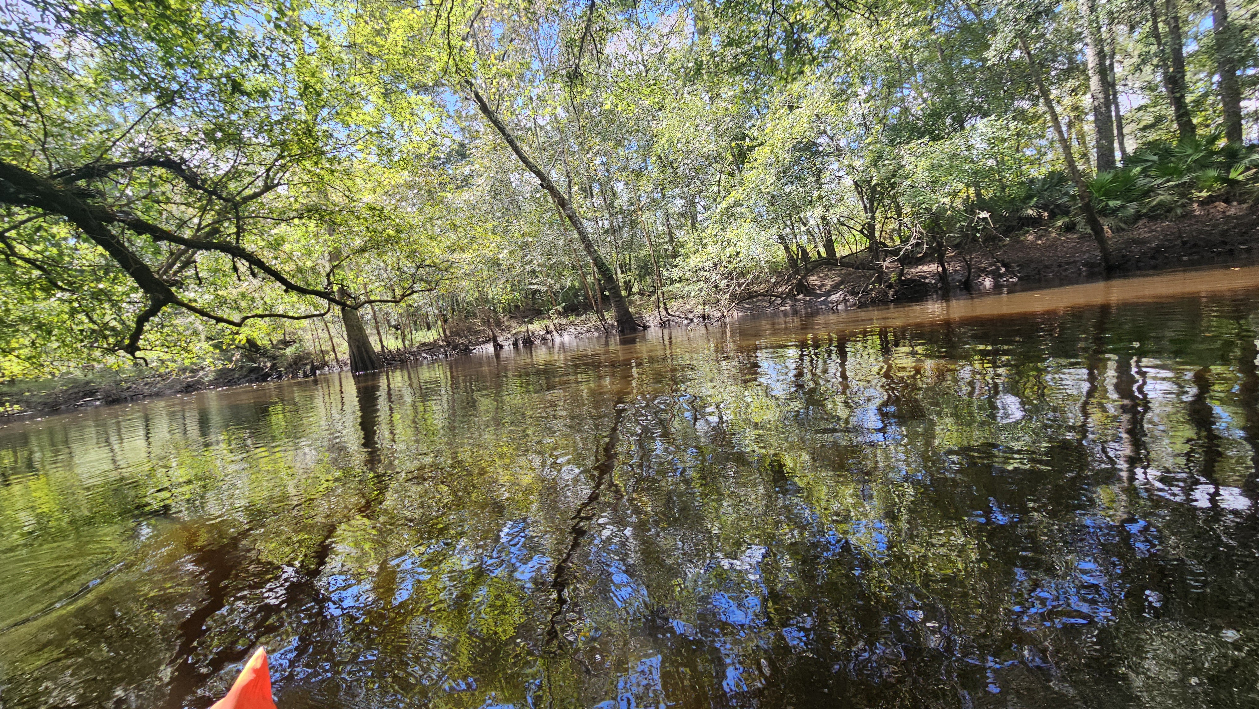 Downstream --Darlene Eanes Ray, 13:41:16, 31.2162932, -83.5124325