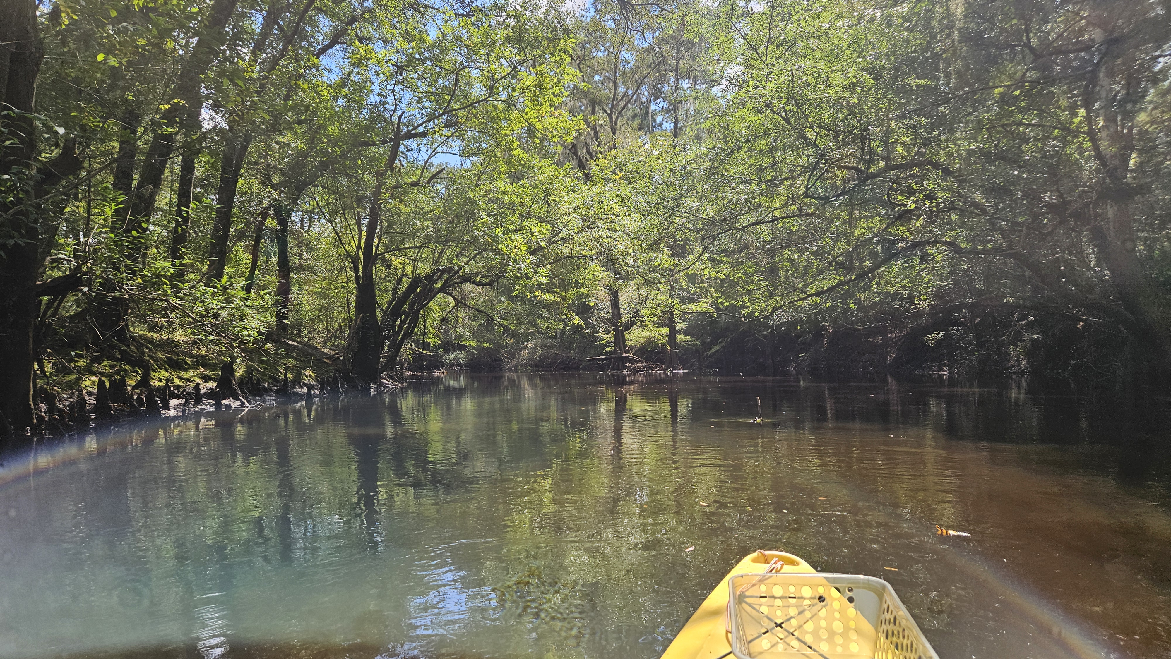 Steep right bank --Darlene Eanes Ray, 14:31:21, 31.2085101, -83.5101774