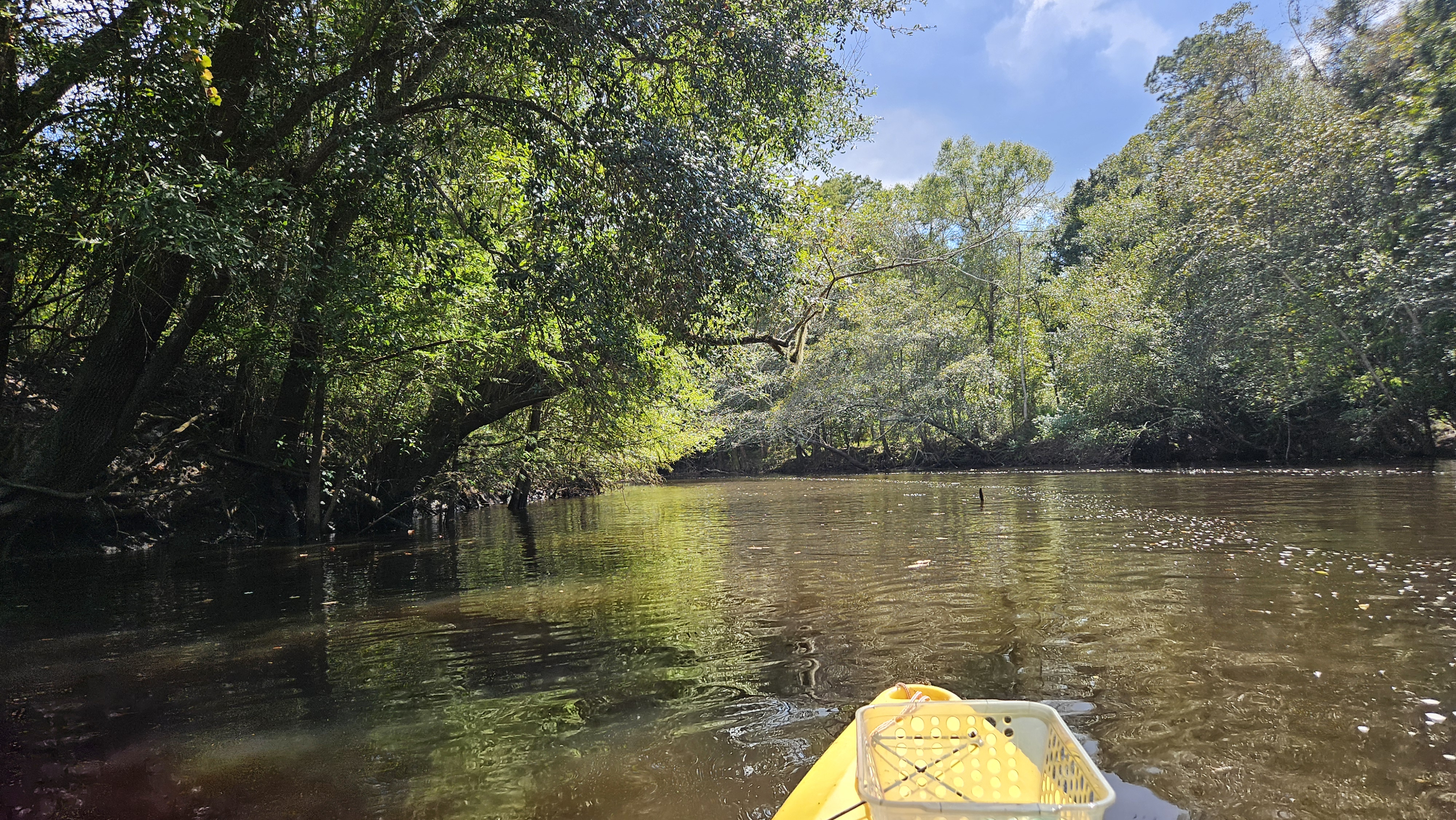 Wide Rountree Lake --Darlene Eanes Ray, 14:53:26, 31.1975276, -83.5204929