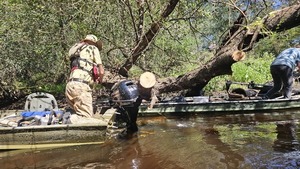 [jsq tying up to Poley Deadfall --Darlene Eanes Ray, 11:32:51, 31.2112475, -83.5109492]