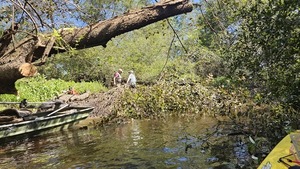 [Paris with the branch ashore --Darlene Eanes Ray, 11:34:05, 31.2112505, -83.5109415]