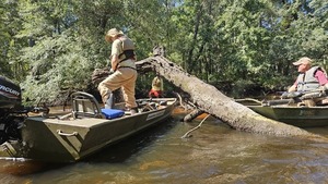 [jsq sawing Lower Flat Ford Deadfall --Darlene Eanes Ray, 11:56:45, 31.2121973, -83.5114248]