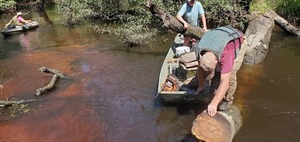 [Tommy pulling on the log --John S. Quarterman, 12:15:38, 31.2124849, -83.5114474]