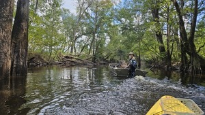 [jsq motoring downstream --Darlene Eanes Ray, 14:22:11, 31.2121332, -83.5112146]