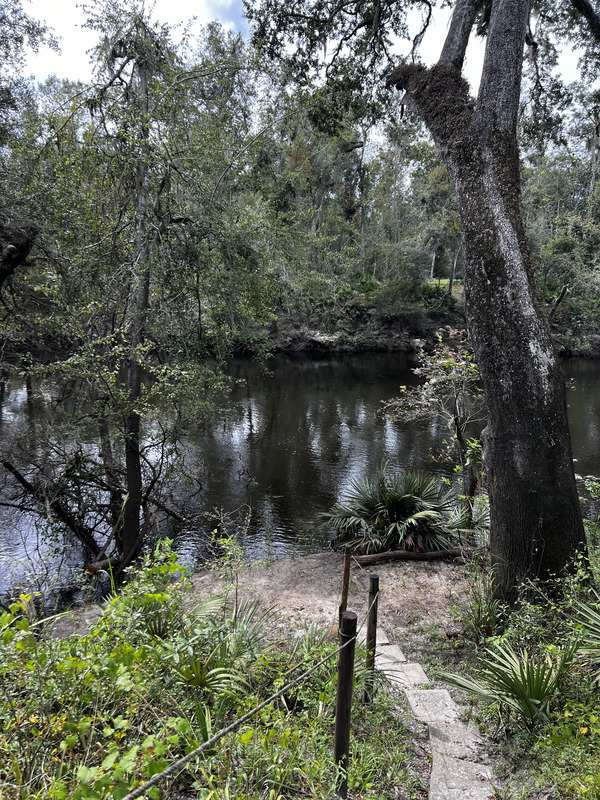 [Holly Point, Withlacoochee River 2024-09-25]