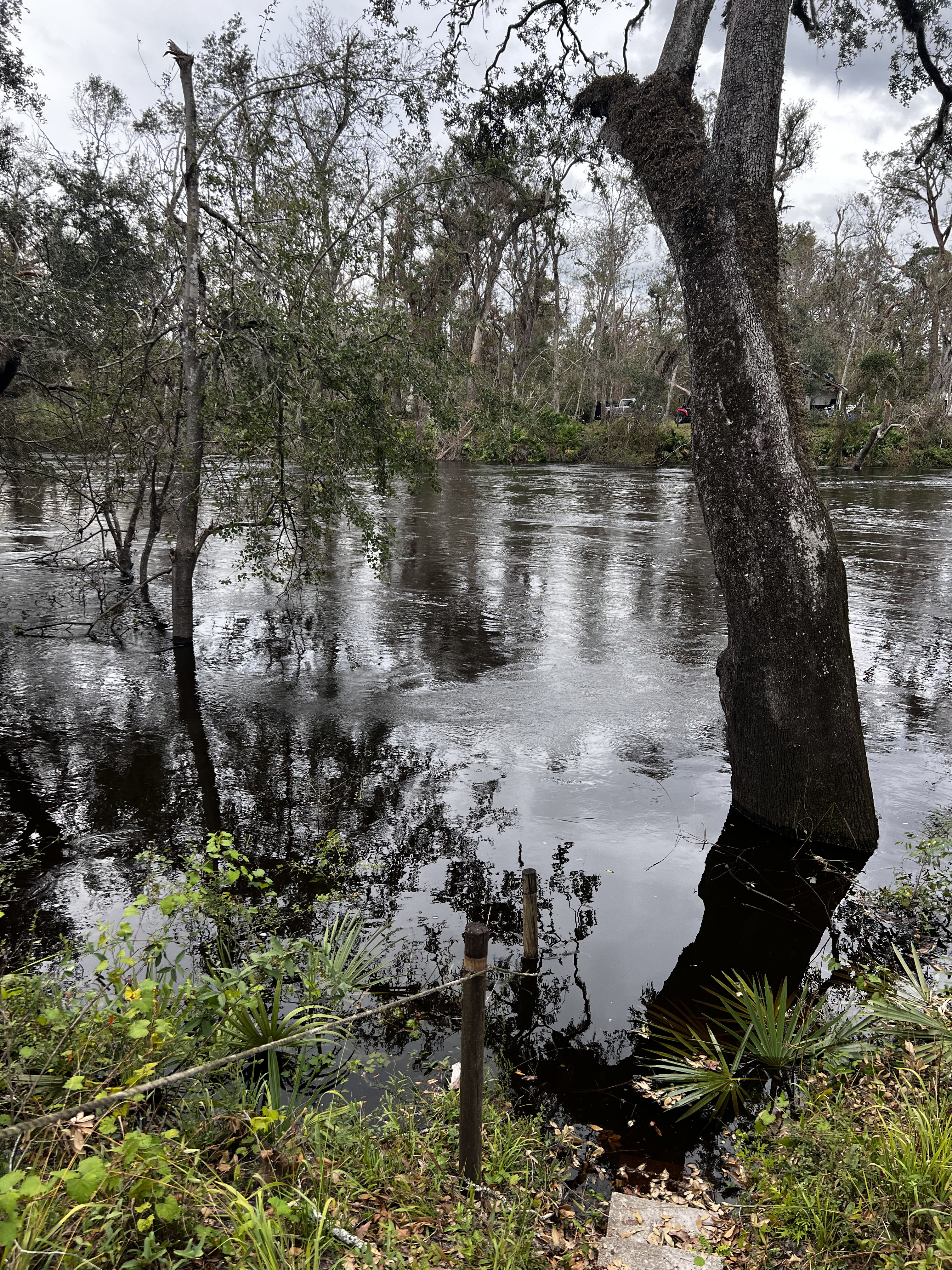 Other, Holly Point, Withlacoochee River 2024-10-04