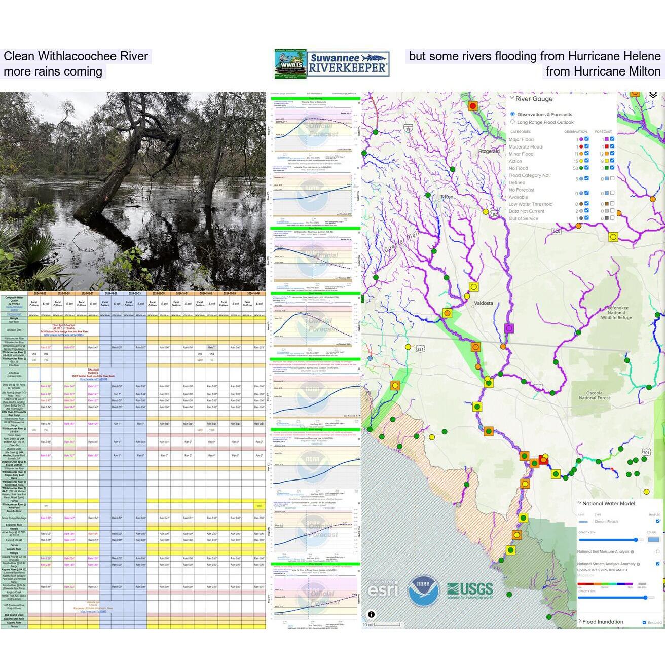 Clean Withlacoochee River, but downstream Alapaha, Withlacoochee, Santa Fe, and Suwannee Rivers rivers flooding from Hurricane Helene, and more rains coming from Hurricane Milton.