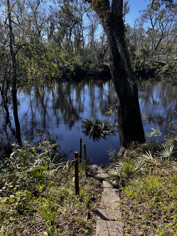 [Holly Point, Withlacoochee River @ NE Withla Bluffs Way 2024-10-10]