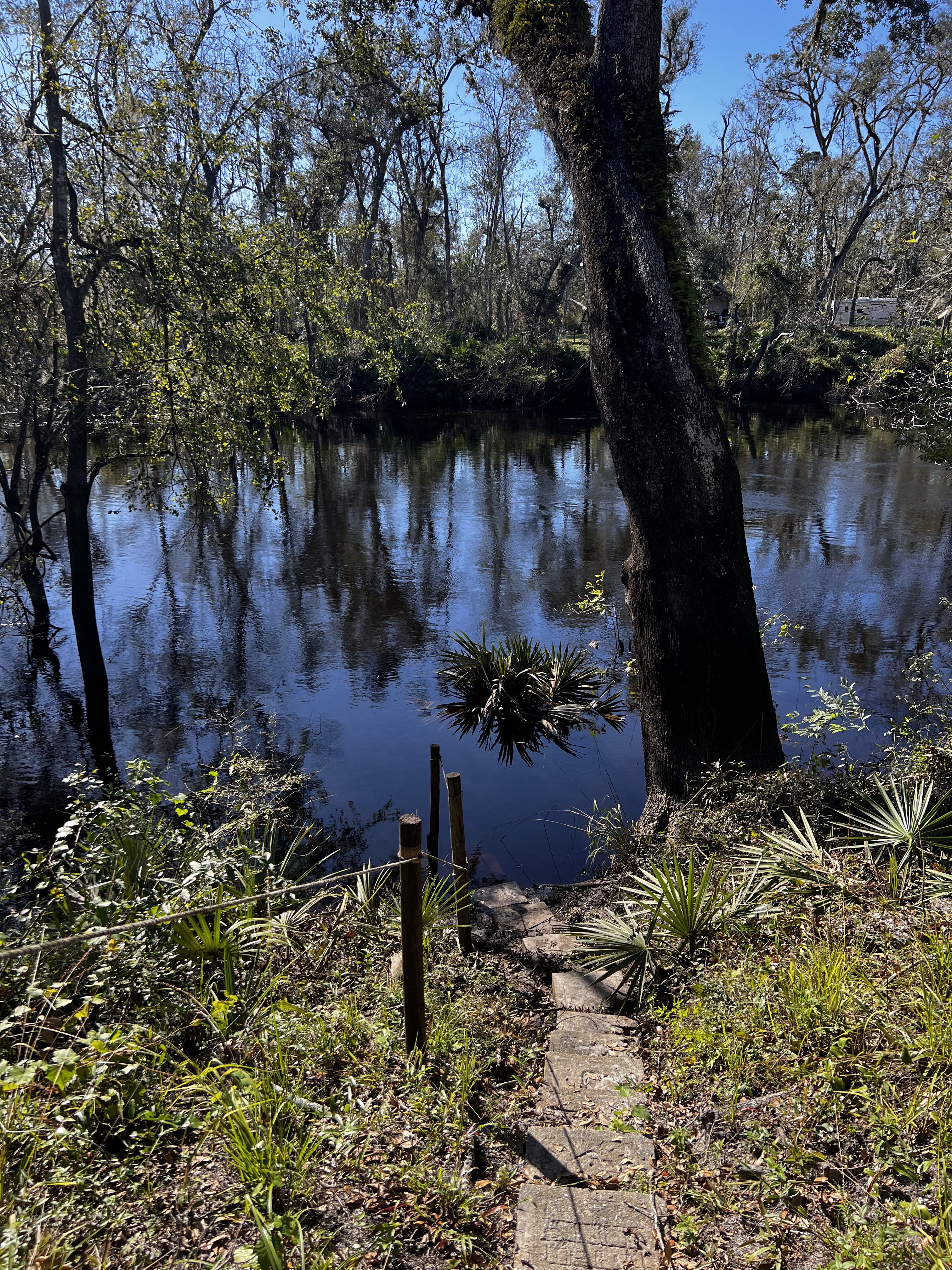 Holly Point, Withlacoochee River @ NE Withla Bluffs Way 2024-10-10