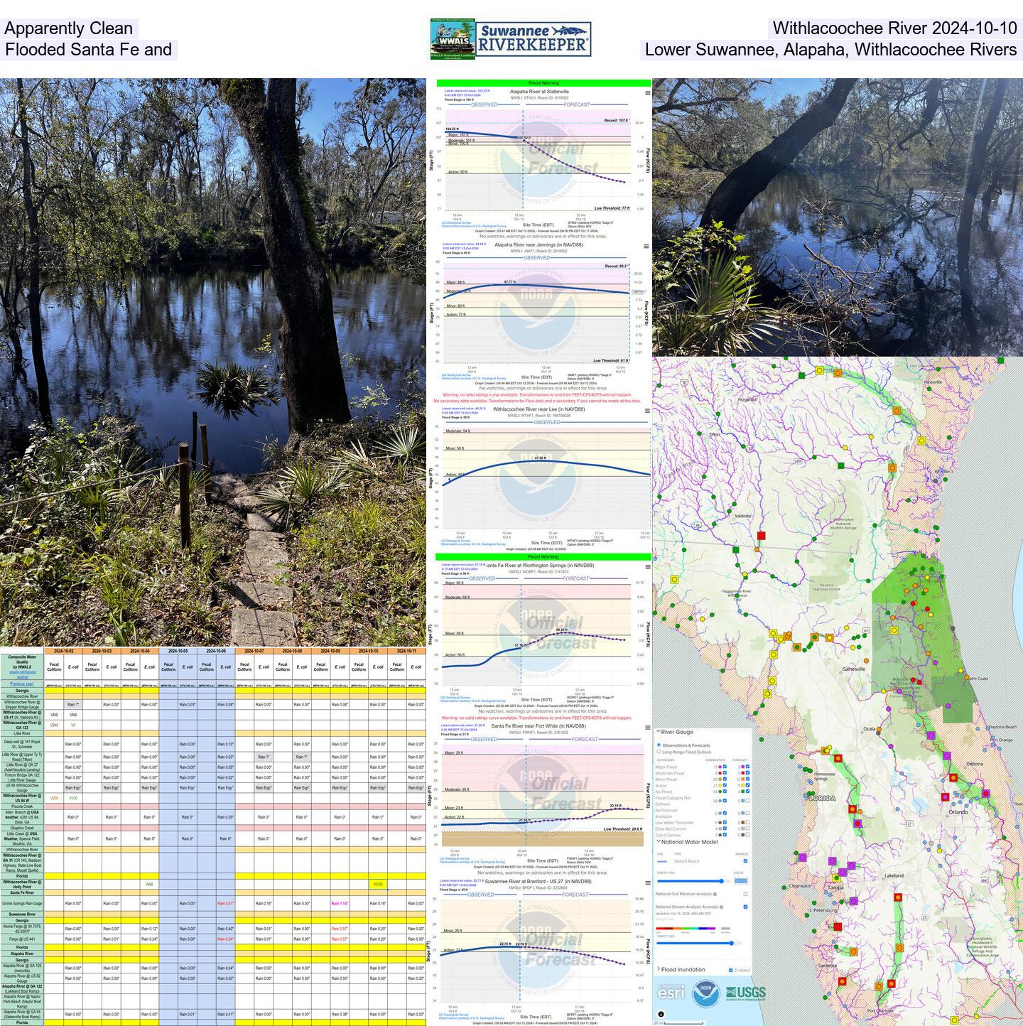 Apparently clean Withlacoochee River 2024-10-10 Flooded Santa Fe River and lower Suwannee, Alapaha, and Withlacoochee Rivers