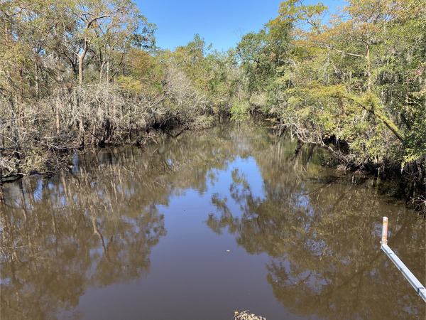 [Sheboggy Boat Ramp, Alapaha River @ US 82 2024-10-13]