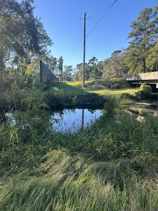 [Franks Creek @ GA 122 2024-10-16]