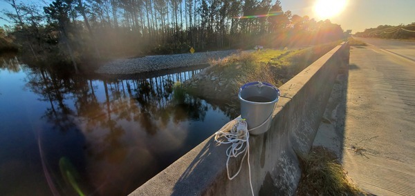 [Lakeland Boat Ramp, Alapaha River @ GA 122 2024-10-17]