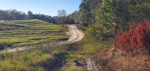 [Folsom Bridge Landing road, Little River @ GA 122 2024-10-17]