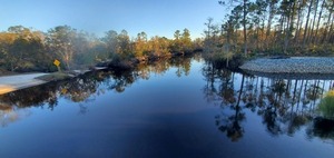 [Lakeland Boat Ramp downstream, Alapaha River @ GA 122 2024-10-17]