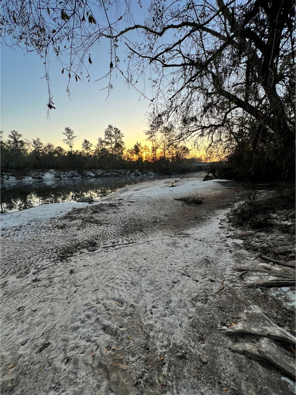 Naylor Park Beach more upstream, Alapaha River @ US 84 2024-10-24