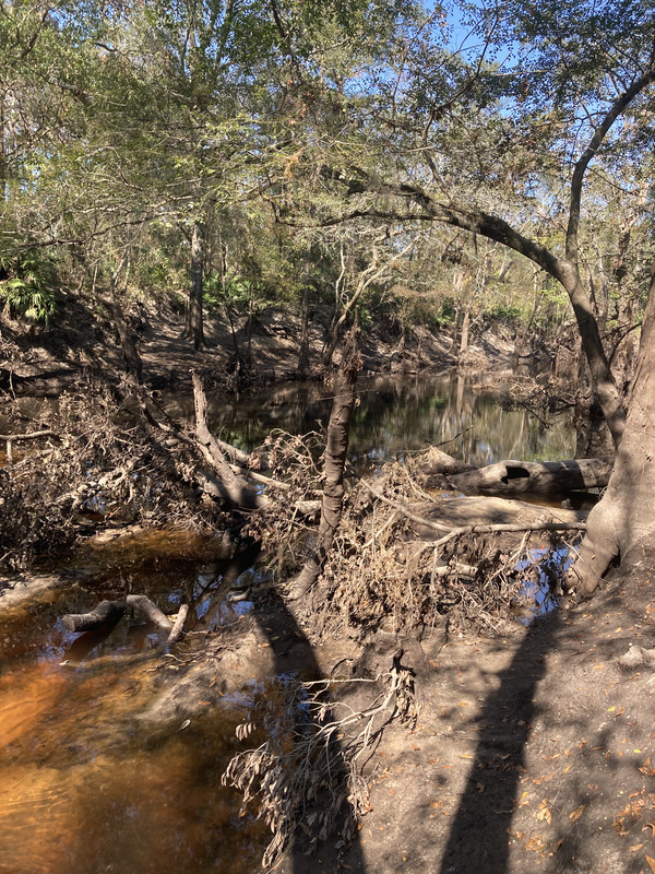 [Staten Road, Withlacoochee River @ Staten Road 2024-10-24]