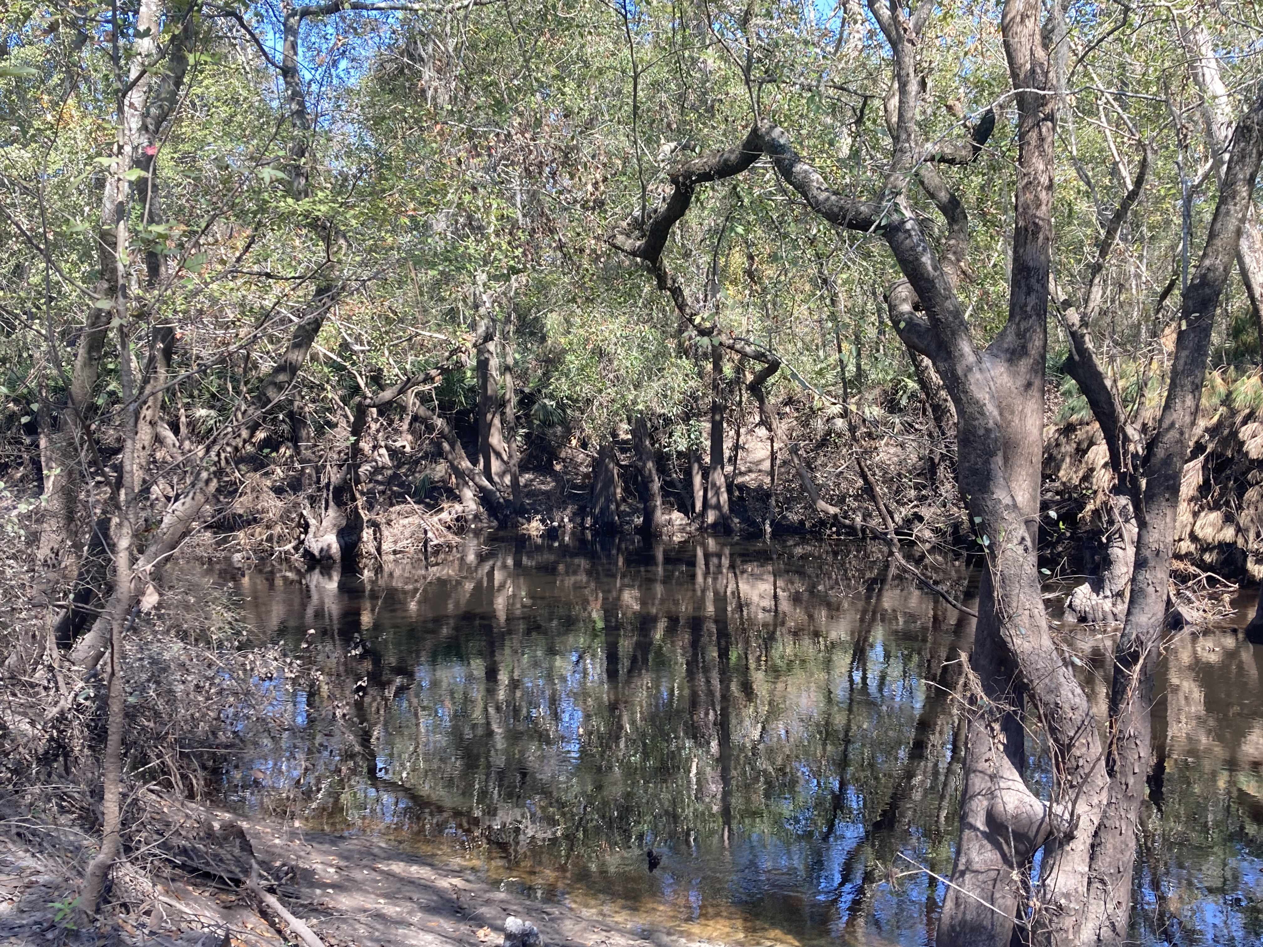 Franklinville other, Withlacoochee River @ Frankinville Road 2024-10-24