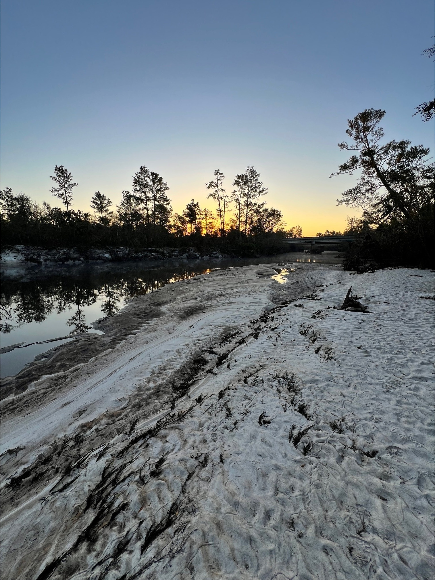 Naylor Park Beach upstream, Alapaha River @ US 84 2024-10-24