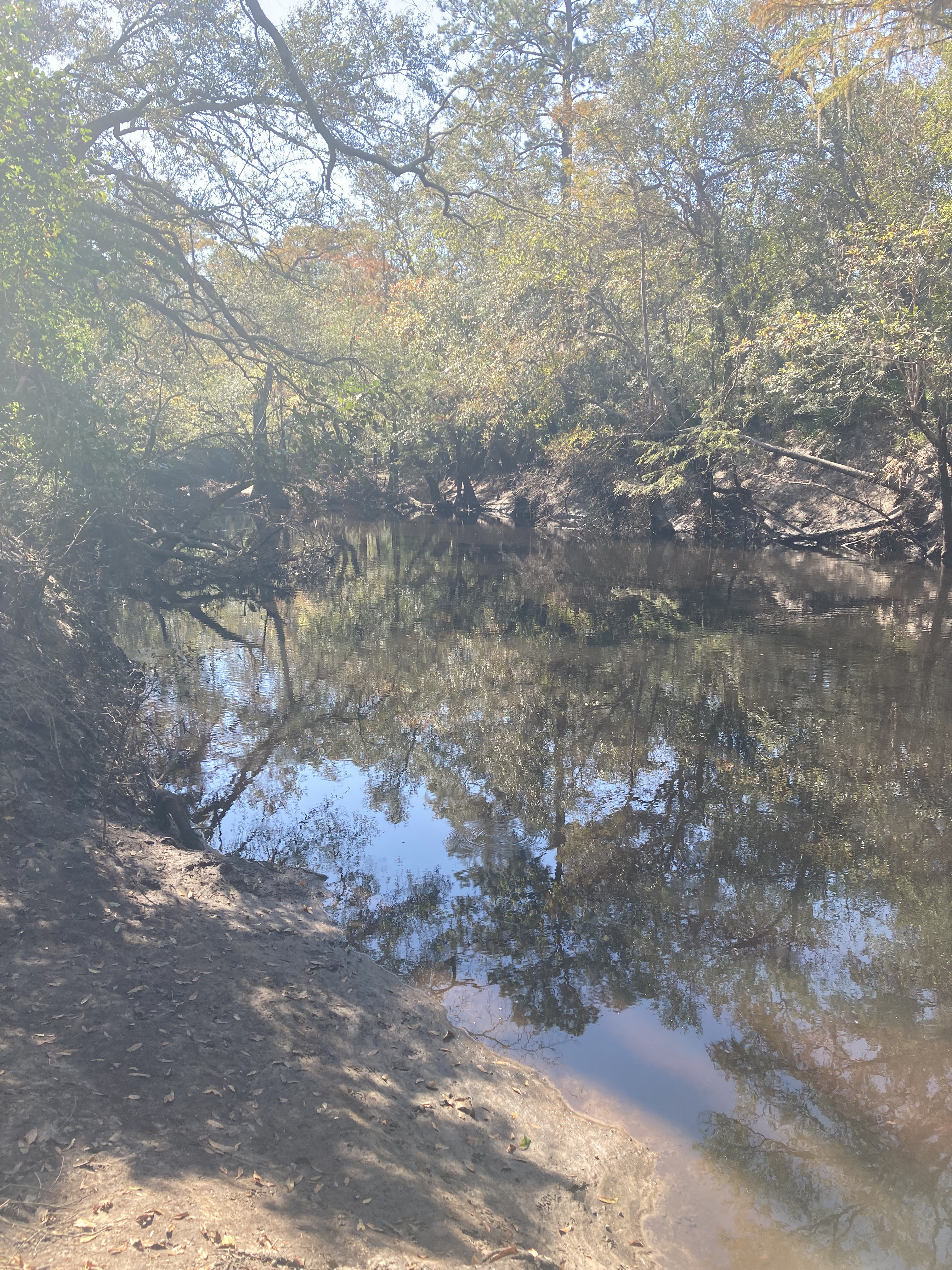 Staten Road other, Withlacoochee River @ Staten Road 2024-10-24