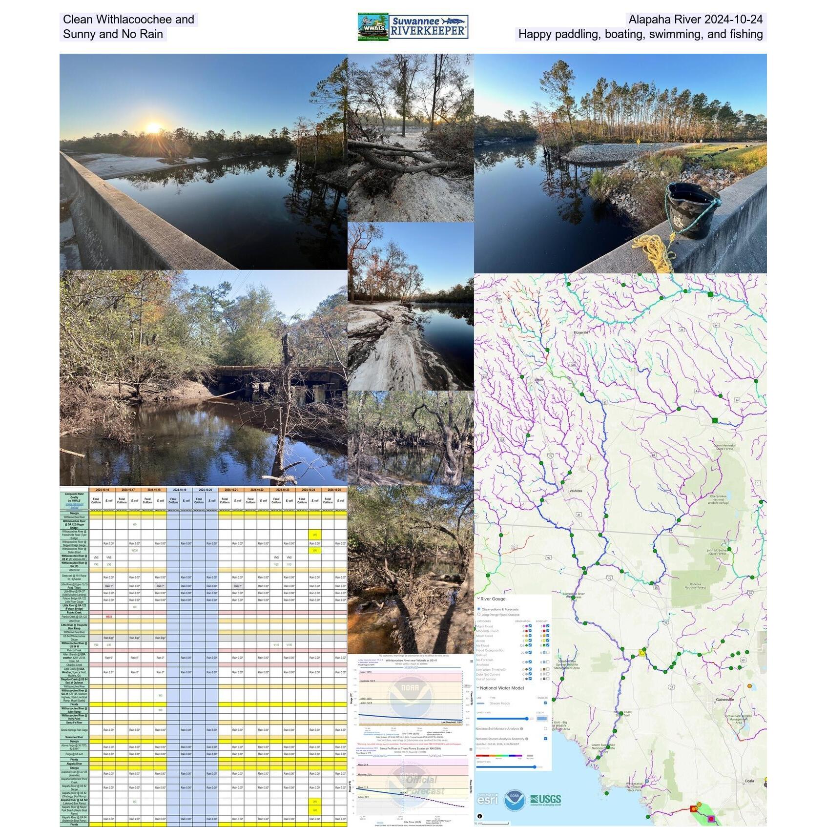 Clean Withlacoochee and Alapaha River 2024-10-24 Sunny and No Rain. Happy paddling, boating, swimming, and fishing.