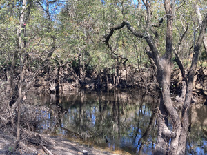 [Franklinville other, Withlacoochee River @ Frankinville Road 2024-10-24]