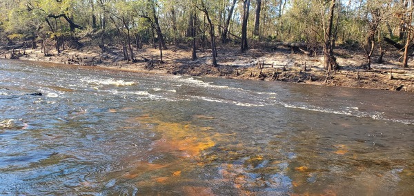 [Rocks at Trashy Shoals, 10:25:47, 30.8454608, -83.3514466]