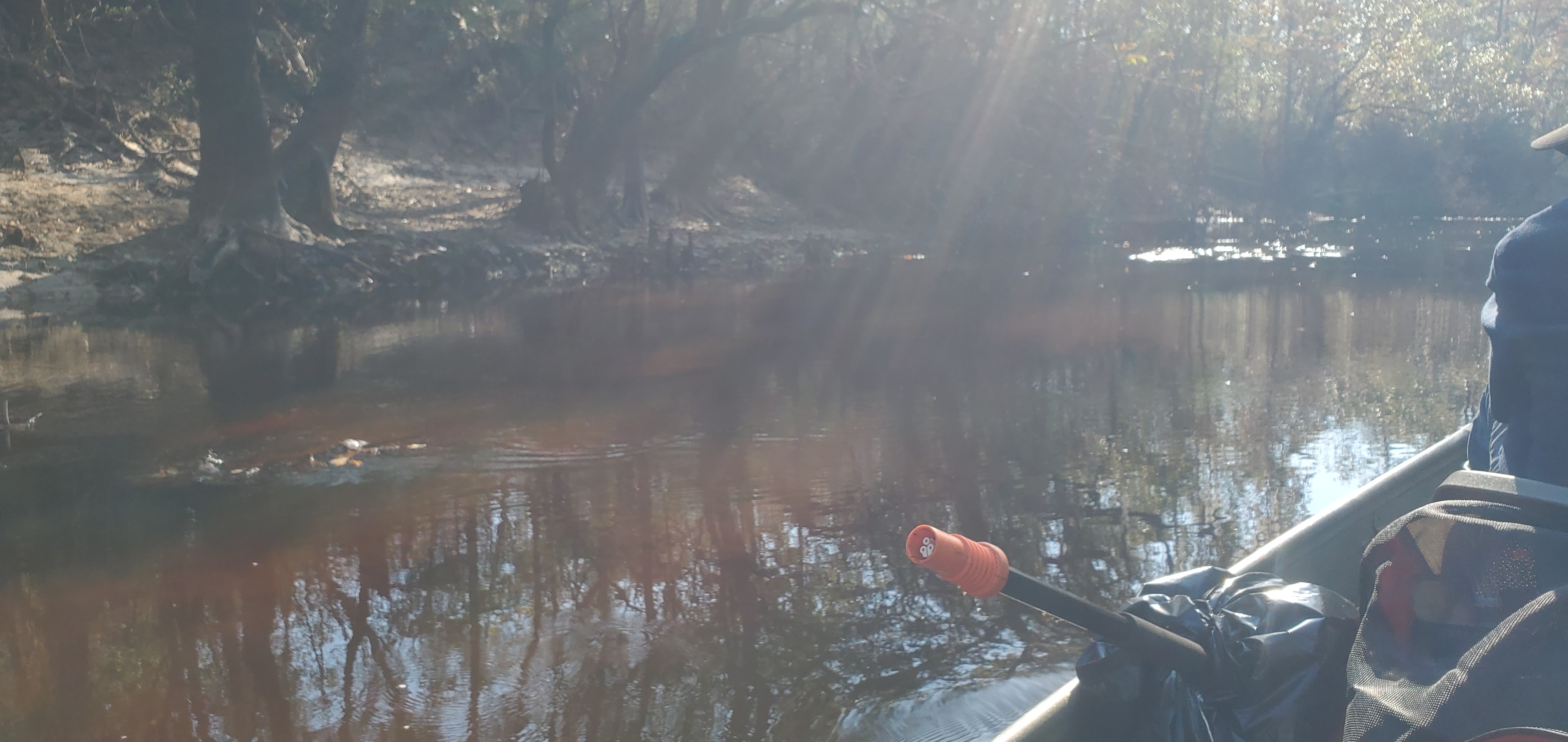 Rocks near the surface, Little River, 10:12:36, 30.8480375, -83.3483540