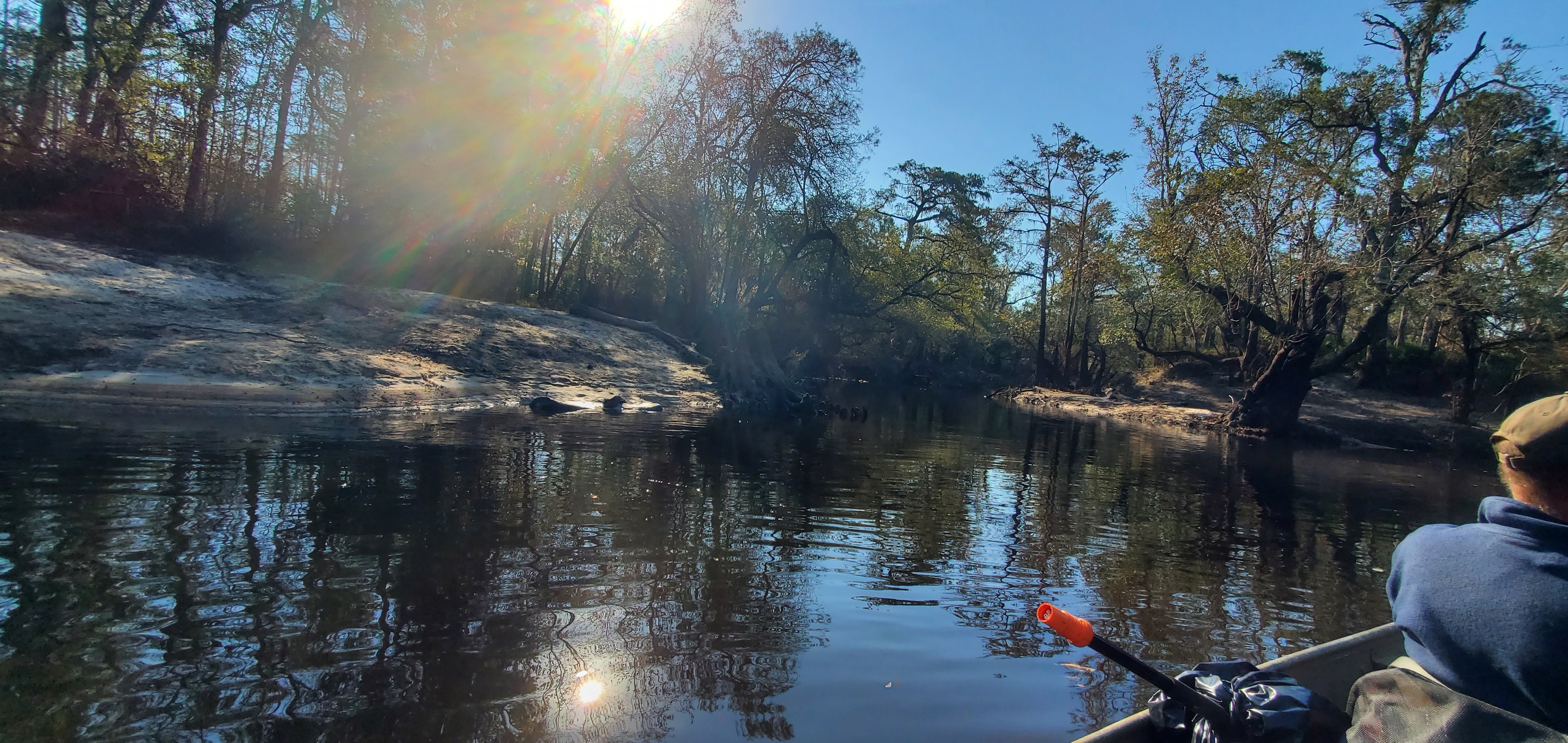 Little River Confluence, looking up the Withlacoochee River, 10:16:12, 30.8471620, -83.3476135