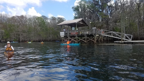 [Suwannee River at Manatee Springs Run, 2018-02-24]