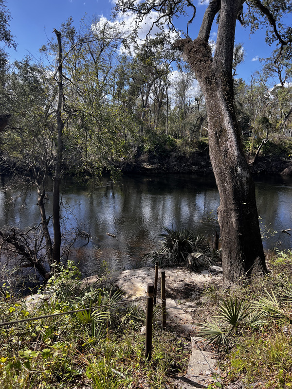 [Holly Point, Withlacoochee River @ NE Withla Bluffs Way 2024-10-30]