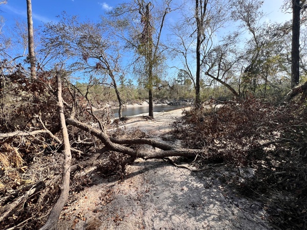 [Naylor Park Beach, Alapaha River @ US 84 2024-10-31]