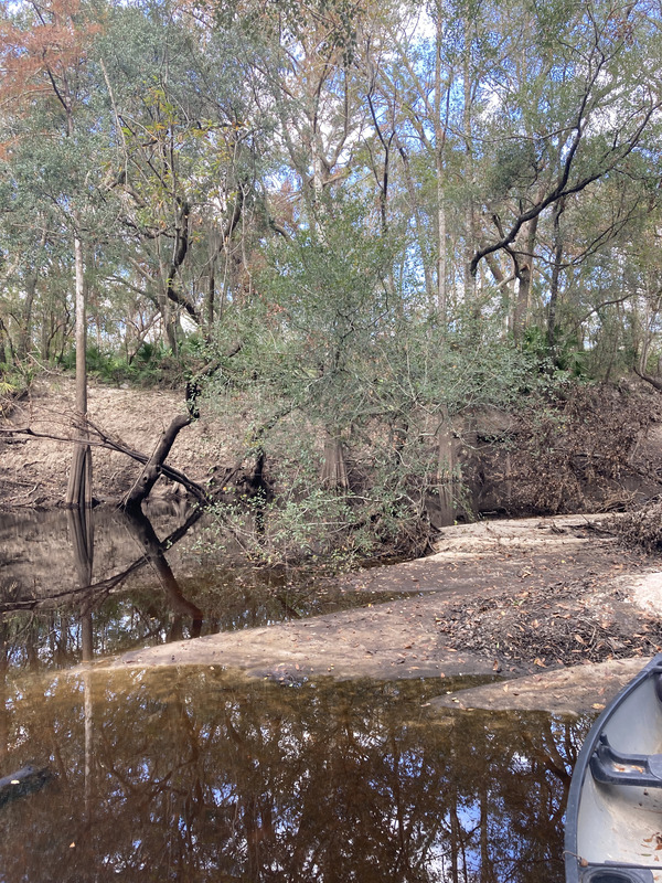 [Staten Road, Withlacoochee River @ Staten Road 2024-10-31]