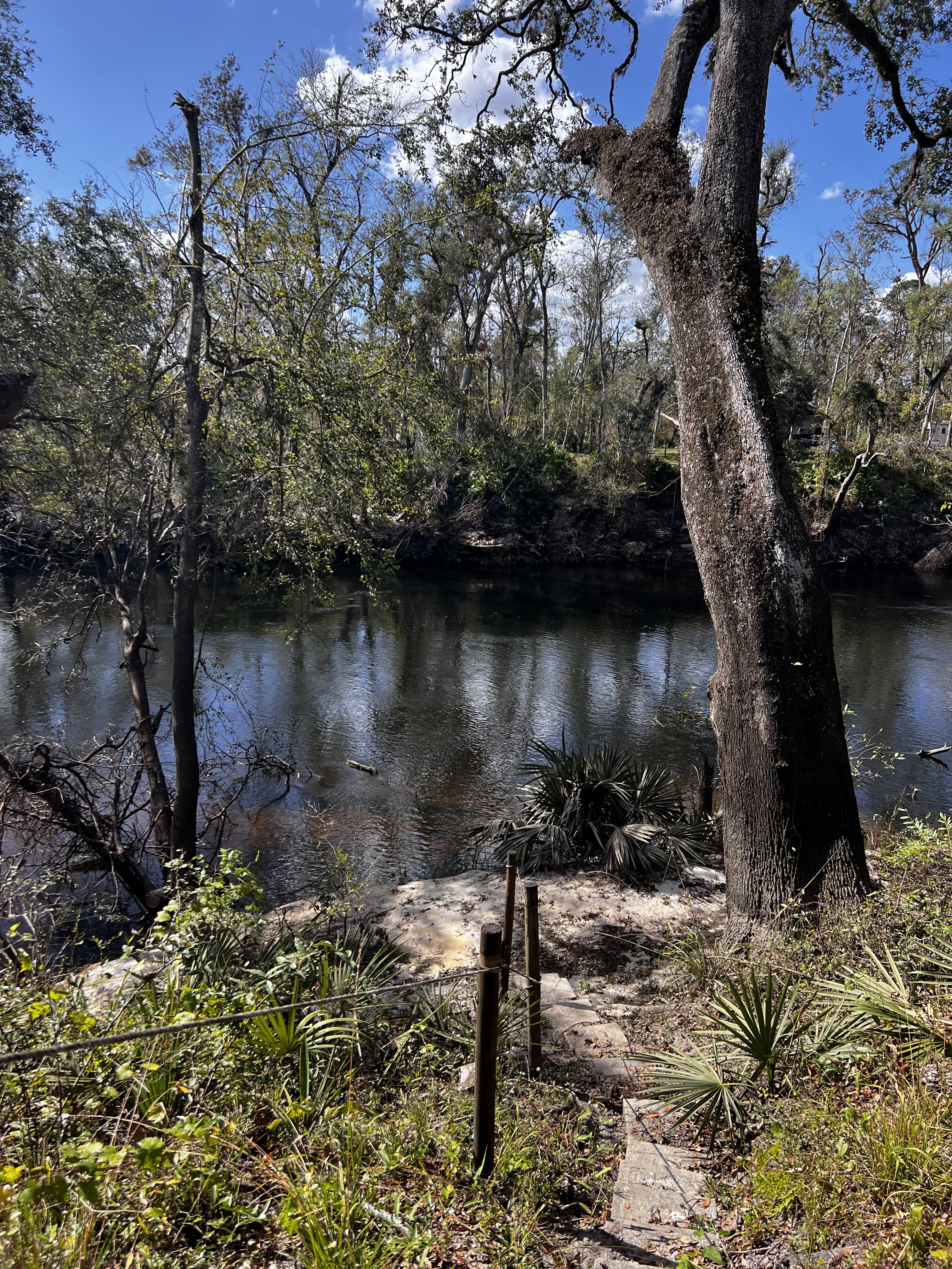 Holly Point, Withlacoochee River @ NE Withla Bluffs Way 2024-10-30