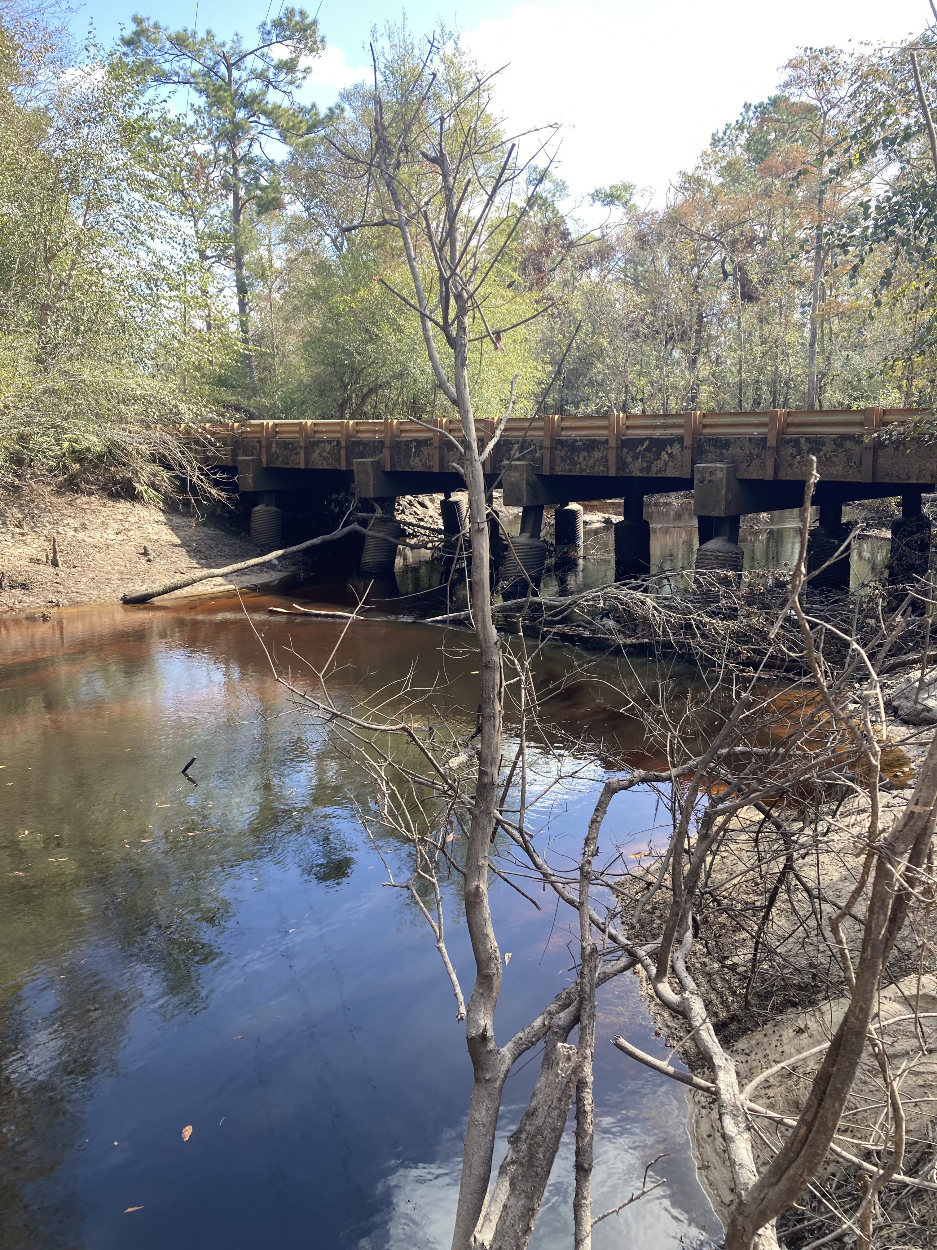 Franklinville, Withlacoochee River @ Frankinville Road 2024-10-31