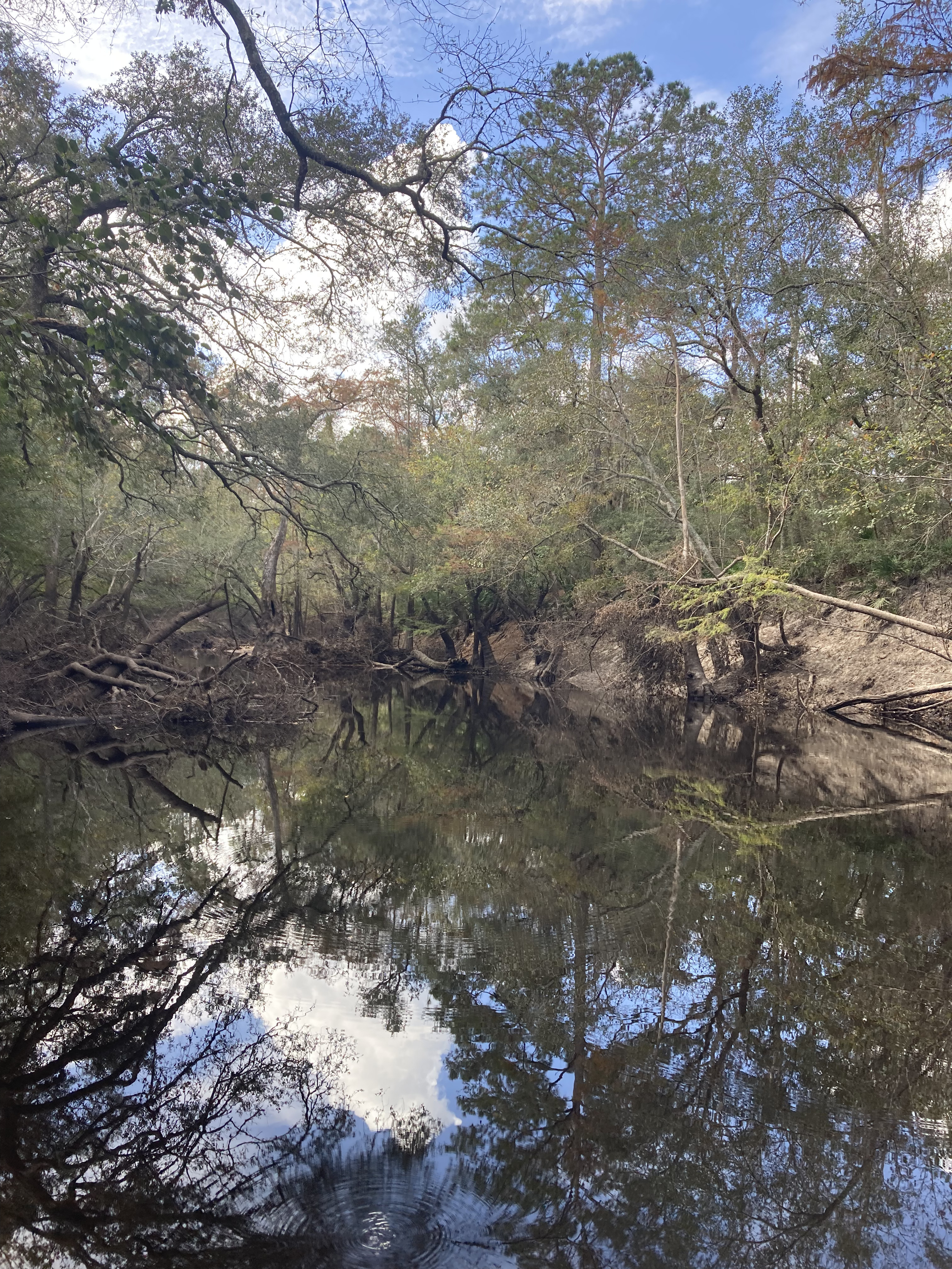 Staten Road downstream, Withlacoochee River @ Staten Road 2024-10-31