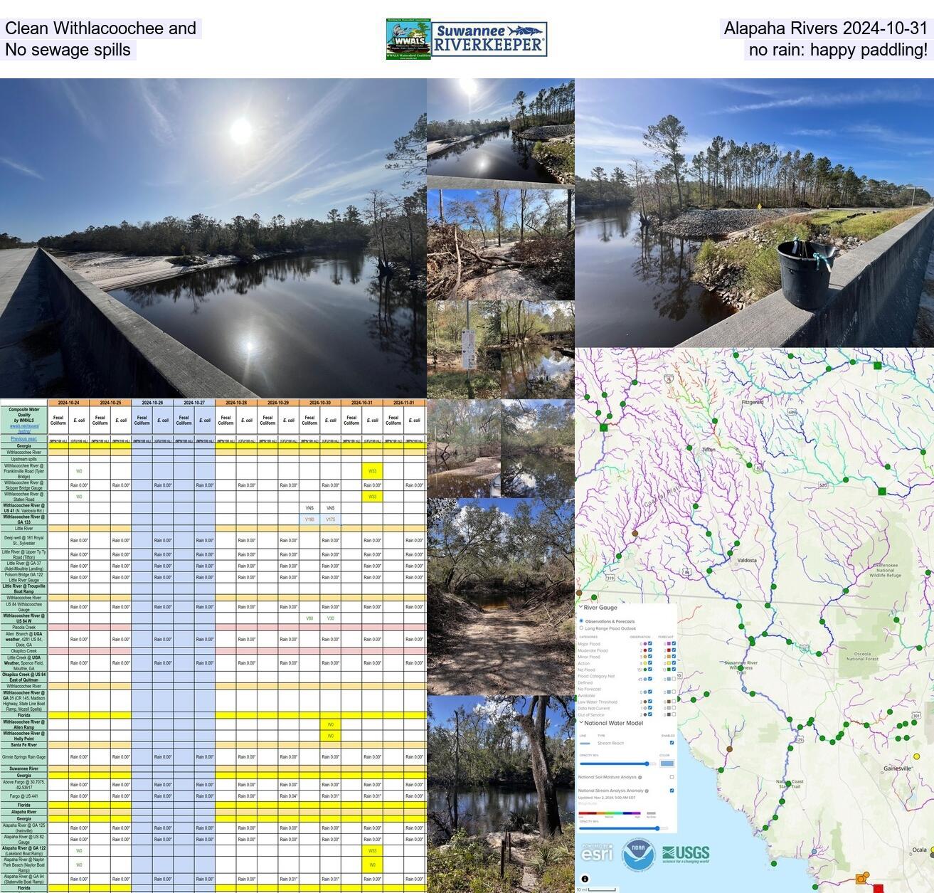 [Clean Withlacoochee and Alapaha Rivers 2024-10-31 No sewage spills and no rain: happy paddling!]