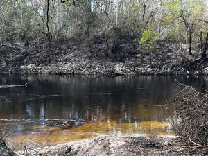 [Allen Ramp other, Withlacoochee River @ 2726 SW 64th Way Jasper, FL 32052 2024-10-30]