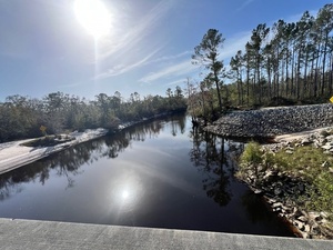 [Lakeland Boat Ramp downstream, Alapaha River @ GA 122 2024-10-30]