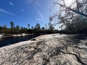 [Naylor Park Beach upstream, Alapaha River @ US 84 2024-10-31]