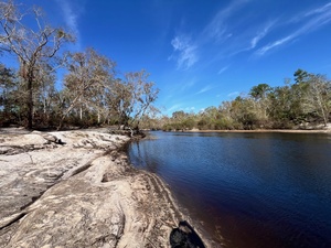 [Naylor Park Beach downstream, Alapaha River @ US 84 2024-10-31]