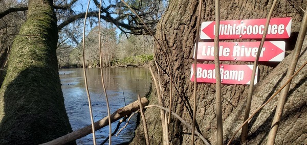 [Left upstream Withlacoochee River, right upstream Little River to Troupville Boat Ramp -signs by Phil Hubbard, 2024-02-25 10:13:29, 30.8470777, -83.3476421]