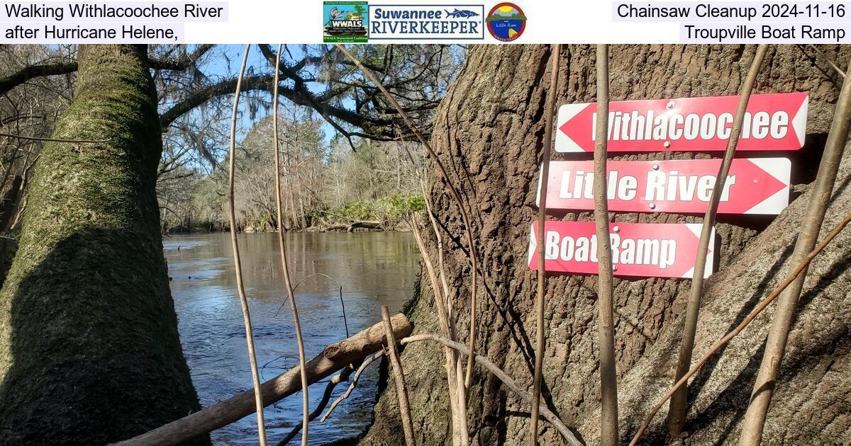 Walking Withlacoochee River Chainsaw Cleanup 2024-11-02, after Hurricane Helene, Troupville Boat Ramp