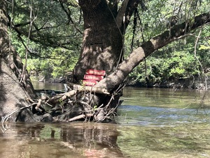 [Little River Confluence signs made by Phil Hubbard --Quen Metzler, 10:44:23, 30.8469, -83.347652, 10:55:23, 30.836143, -83.359444]