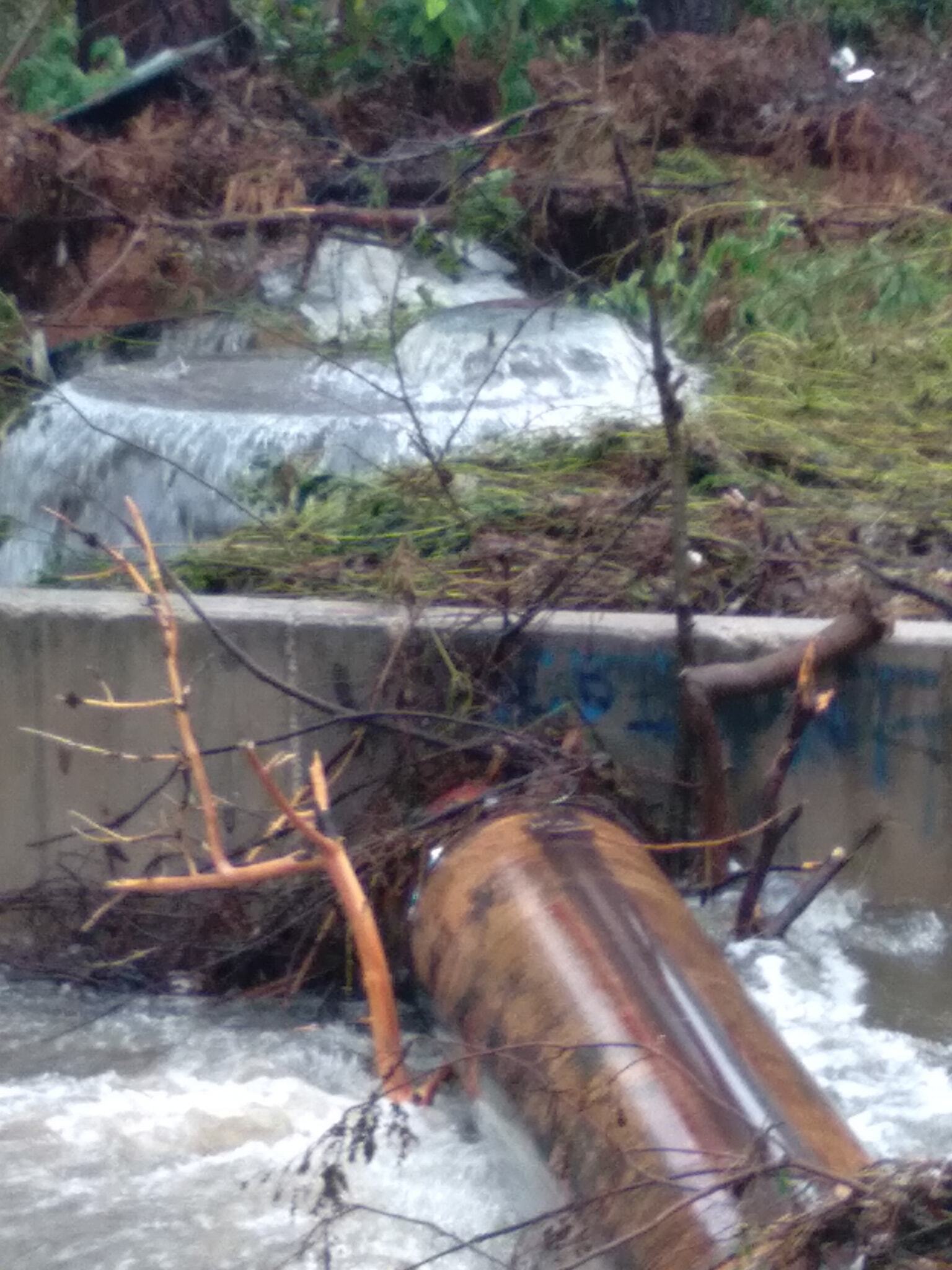 Waterfall beside sewer pipe --Scotti Jay