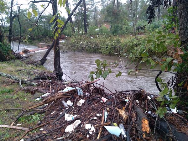 [Trash on One Mile Branch at Wainwright Drive --Scotti Jay]