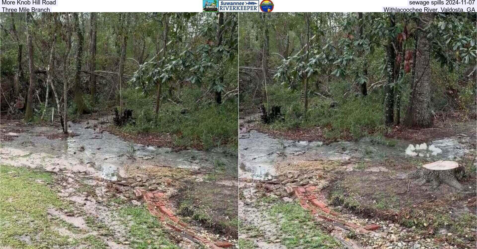 [More Knob Hill Road sewage spills 2024-11-07, Three Mile Branch, Withlacoochee River, Valdosta, GA]