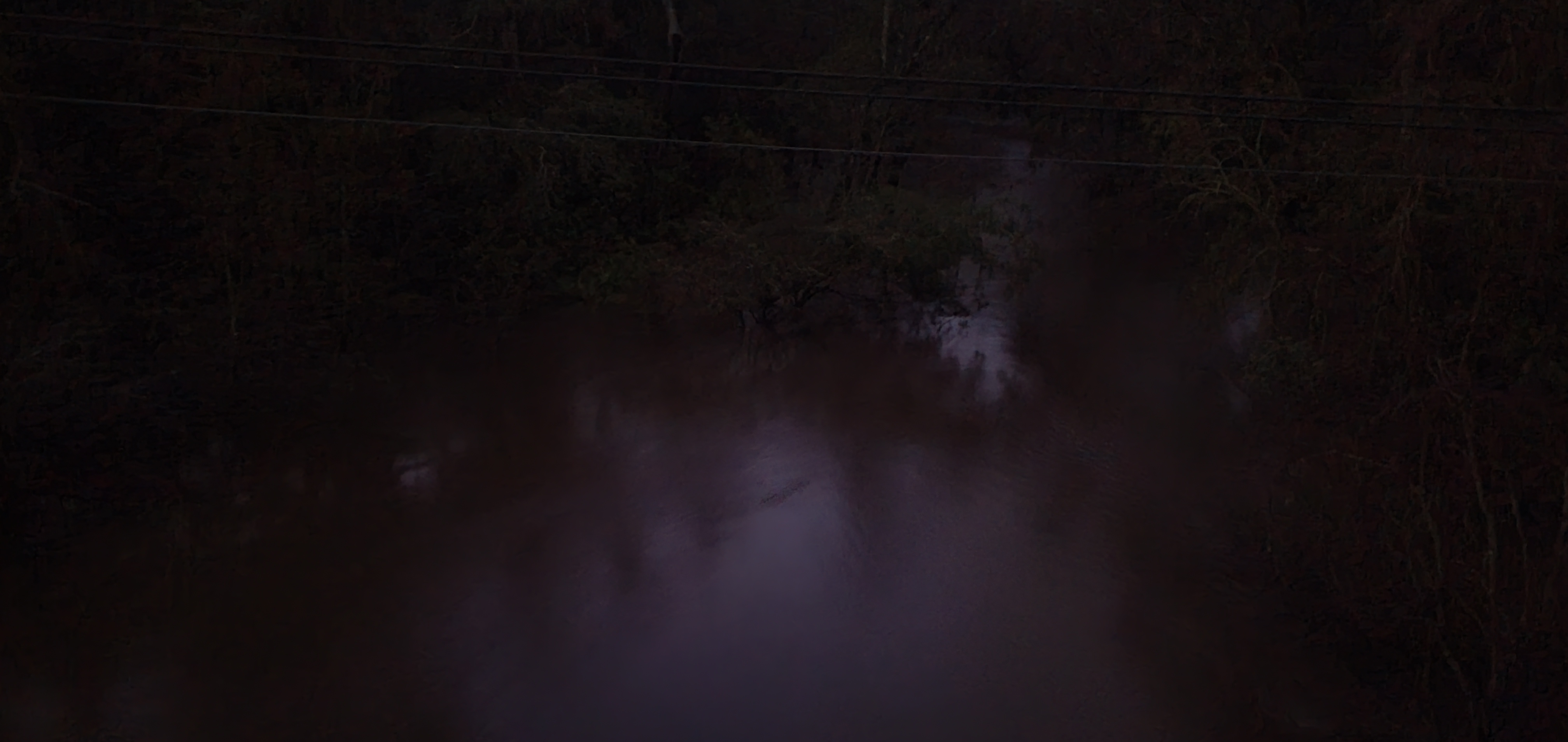 Downstream, GA 133, Withlacoochee River 2024-11-07