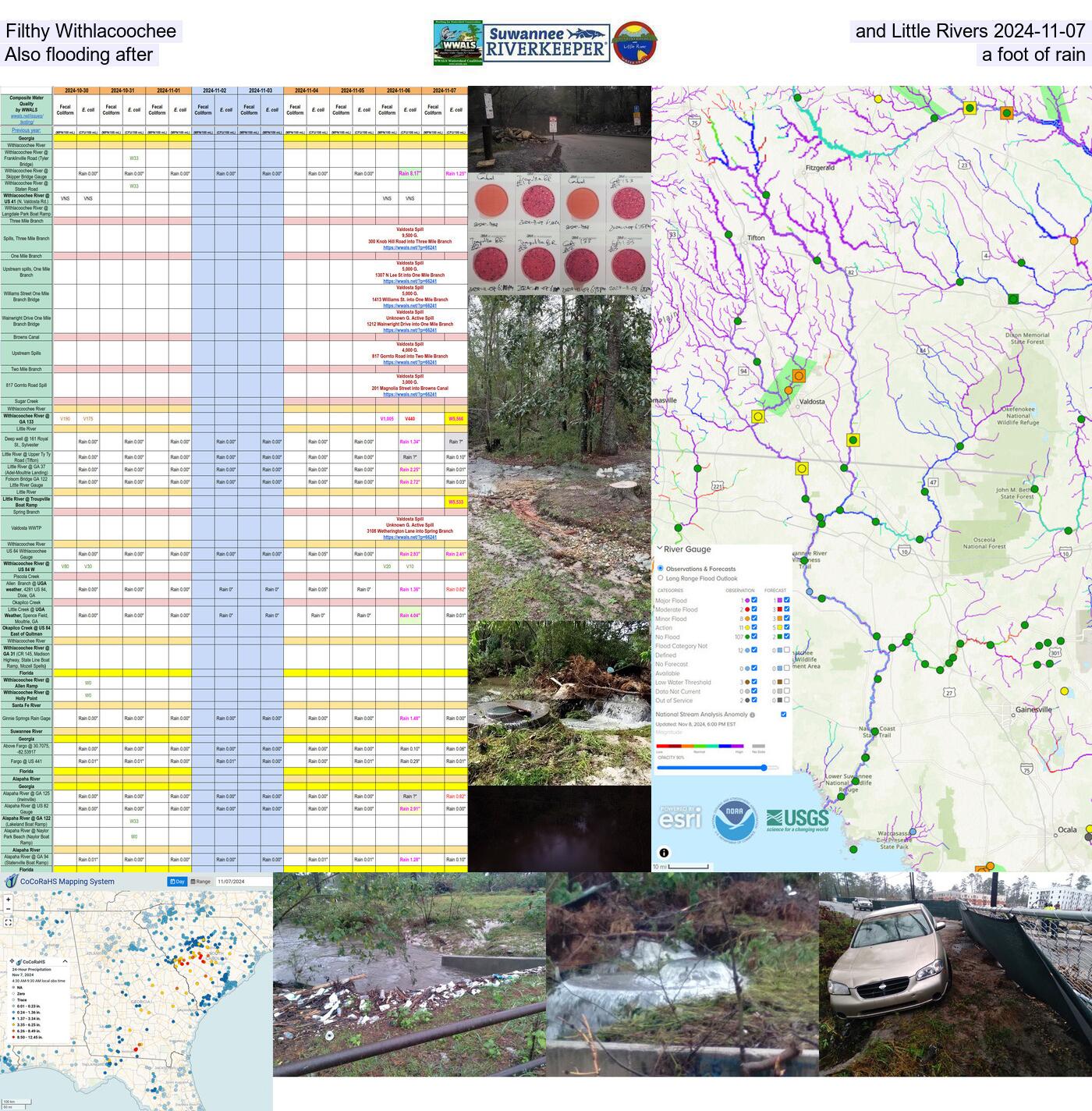 [Filthy Withlacoochee and Little Rivers 2024-11-07 Also flooding after a foot of rain]