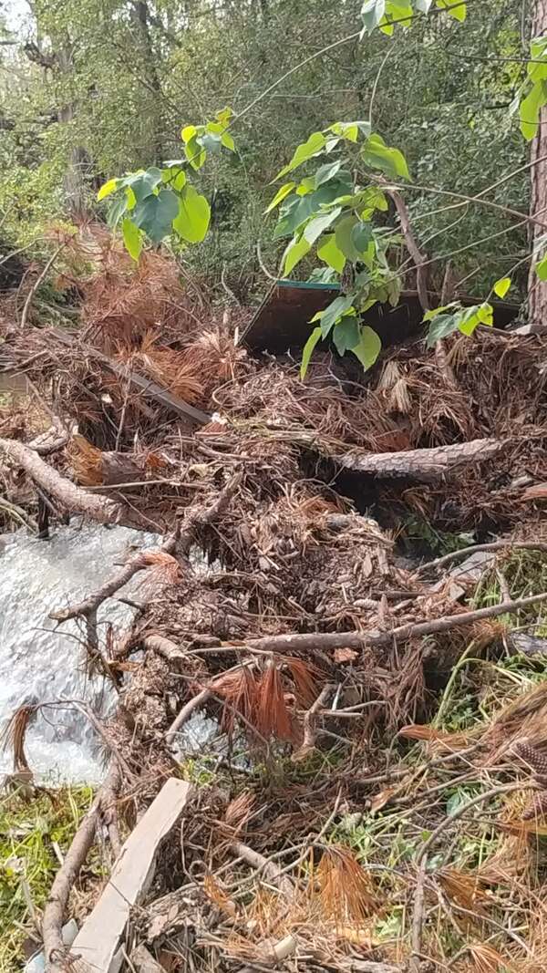 [Movie: That's not a waterfall. It's a busted manhole. Pouring straight into One Mile Branch. It's been like this for two days. (60M)]